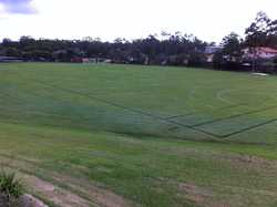 sports-field